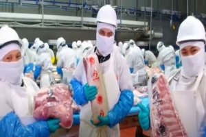 Contin&uacute;a Altosano-Granjas Carroll donaci&oacute;n de carne a casas de asistencia DIF en 2025