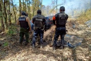 Puebla y Tlaxcala aseguran m&aacute;s de 200 troncos de madera ilegal en La Malinche