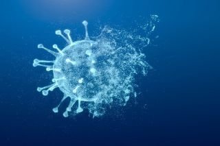 Los primeros en Latinoam&eacute;rica: detectan en Brasil dos casos de variante &Oacute;micron