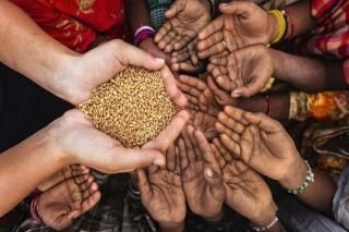 Familias mexicanas y del mundo, sufren por llevar alimentos a sus hogares