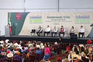 En Puebla el programa "Sembrando Vida" se fortalecer&aacute;: Armenta