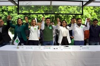 Partido Verde respaldar&aacute; triunfo de Tonantzin Fern&aacute;ndez