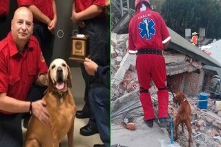 Muere Tit&aacute;n, el perro rescatista que salv&oacute; 36 vidas tras el sismo de 2017