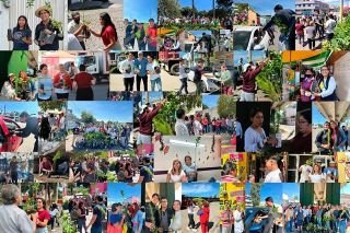 Con jornadas de reforestaci&oacute;n, desarrollamos espacios verdes: Armenta