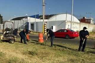 Cadetes se suman a jornadas de proximidad organizadas por el Ayuntamiento en bosques de San Sebasti&aacute;n