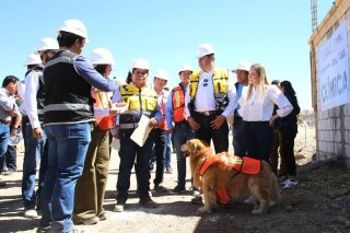 Con enfoque humanista, c&eacute;lulas de Bienestar Animal registra avance del 38%