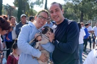 Mario Riestra otorgar&aacute; 50 mil esterilizaciones gratuitas para perros y gatos