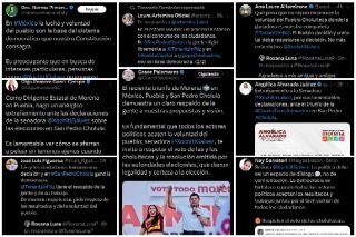 Diputados de Morena respaldan triunfo de Tonantzin Fern&aacute;ndez