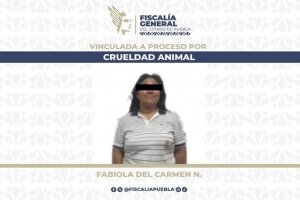 FGE da prisi&oacute;n preventiva a mujer que agredi&oacute; a lomito con un machete