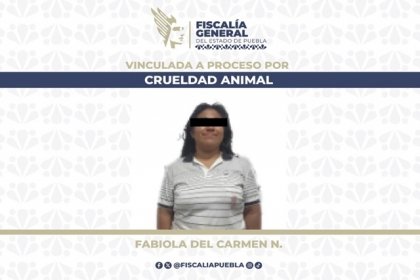 FGE da prisi&oacute;n preventiva a mujer que agredi&oacute; a lomito con un machete