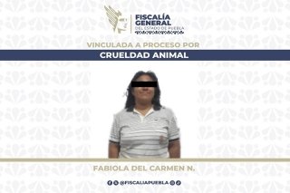 FGE da prisi&oacute;n preventiva a mujer que agredi&oacute; a lomito con un machete