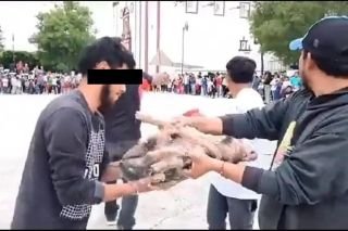 Contin&uacute;a maltrato animal en Puebla; le rompen las patitas a cerdito por diversi&oacute;n