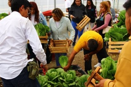 Dona Secretaría de Bienestar municipal lechugas cultivadas en huerto urbano rehabilitado