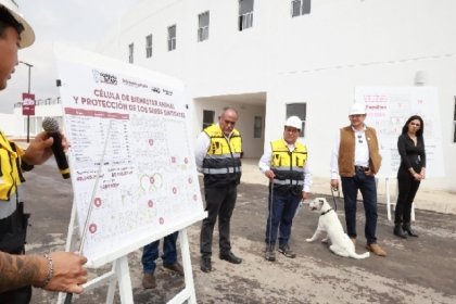 Gobierno Estatal alcanza 88 porciento de avance en c&eacute;lula de bienestar animal