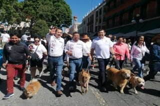 Por Amor a Puebla y a la vida animal, se llev&oacute; a cabo marcha canina