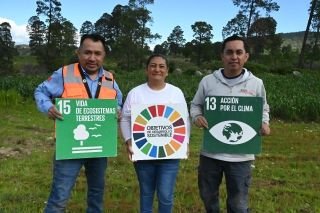 Granjas Carroll de M&eacute;xico reforesta con m&aacute;s de 15 mil &aacute;rboles el ejido Tenextepec