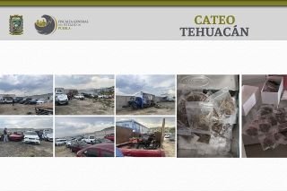 FGE asegur&oacute; droga y veh&iacute;culos con reporte de robo en Tehuac&aacute;n