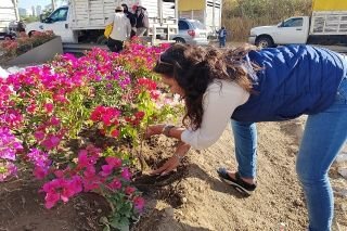 Las siete entradas a Puebla capital tuvieron mantenimiento para recibir a visitantes esta Semana Santa