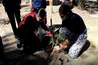 Rehabilita &aacute;rboles Ayuntamiento de Puebla en Parque de la Madre &nbsp;