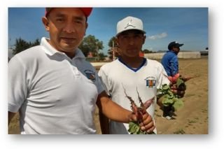 Granjas Carroll implementa huertos escolares en comunidades