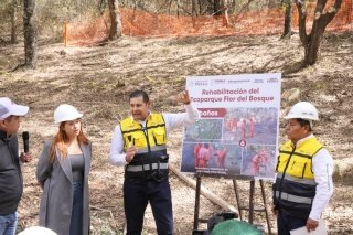 Ecoparque "Pensar en Grande" ser&aacute; el bosque m&aacute;s grande del sur-sureste: Armenta