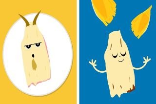 &ldquo;Hacer de chivo los tamales&rdquo; y otros refranes sobre este alimento