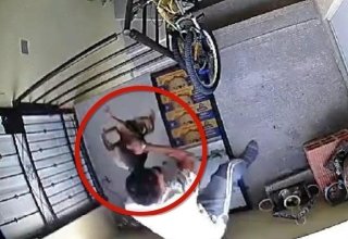 Le dan m&aacute;s de 3 a&ntilde;os de c&aacute;rcel por lanzar a una perrita de un tercer piso en Huejotzingo