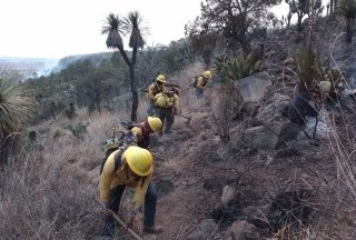 Contin&uacute;a gobierno estatal trabajos de combate de incendios forestales