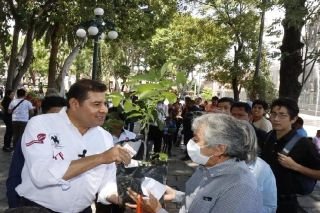 Armenta entrega &aacute;rboles en el centro hist&oacute;rico