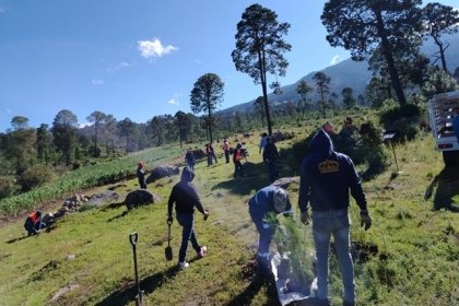 Granjas Carroll impulsa la conservaci&oacute;n y reforestaci&oacute;n en el Valle de Perote