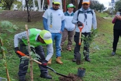 Con la siembra de m&aacute;s de 15 mil &aacute;rboles, Agua de Puebla culmina con &eacute;xito su Programa de Reforestaci&oacute;n 2025 &ldquo;Siembra Vida&rdquo;