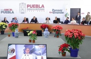 Puebla avanza a la soberan&iacute;a energ&eacute;tica con m&oacute;dulos fotovolt&aacute;icos
