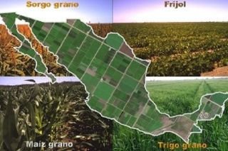 M&aacute;s del 80% de la superficie agr&iacute;cola en M&eacute;xico depende del r&eacute;gimen pluvial