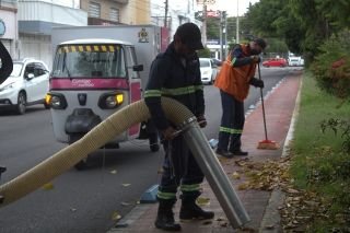 Organismo Operador del Servicio de Limpia da mantenimiento a avenida y ciclopista de la 14 sur&nbsp;