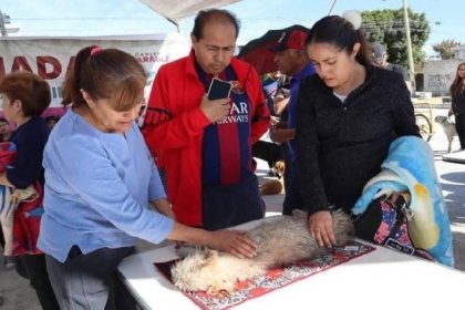 Gobierno de la Ciudad lleva Jornada de Bienestar Animal a Colonia Minerales del Sur