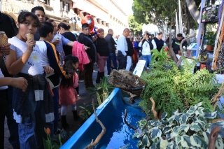 Se deslinda IBA de exhibici&oacute;n animal en el Z&oacute;calo de Puebla: Michele Islas