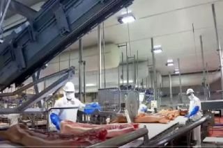 Granjas Carroll superar&aacute; retos y desaf&iacute;os en 2023 con su capital humano: VMO