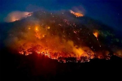 M&eacute;xico tambi&eacute;n sufre los estragos: r&eacute;cord mundial de incendios forestales en 2024 golpea a Am&eacute;rica Latina