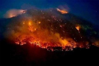 M&eacute;xico tambi&eacute;n sufre los estragos: r&eacute;cord mundial de incendios forestales en 2024 golpea a Am&eacute;rica Latina