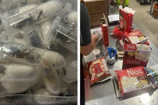 Escalofriante: hallan mil 500 tar&aacute;ntulas en paquetes de galletas