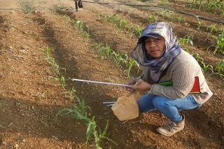 Reconocen a Granjas Carroll por Mejores Pr&aacute;cticas de Responsabilidad Social Empresarial