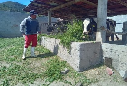 Altosano Granjas Carroll impulsa rotaci&oacute;n de cultivos y producci&oacute;n forrajera