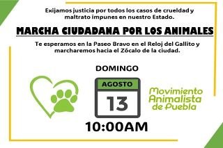 Movimiento Animalista llama a marcha contra maltrato&nbsp; animal en Puebla