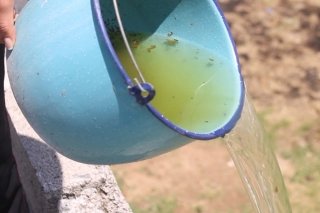 En Puebla, tres contagios por dengue en las &uacute;ltimas 24 horas: Salud