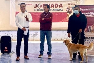 Gobierno de la Ciudad llev&oacute; con &eacute;xito Jornada de Protecci&oacute;n Animal a La Guadalupana