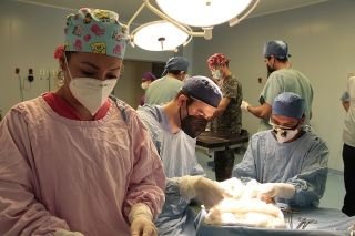 Realiza ISSSTEP sexto trasplante renal del a&ntilde;o