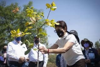Celebra la Rectora Lilia Cedillo Ram&iacute;rez 35 a&ntilde;os del Jard&iacute;n Bot&aacute;nico Universitario