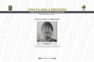 Vinculan a proceso a Cruz N por crueldad animal