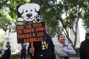 Gobierno atiende a asociaciones preocupadas por el maltrato a seres sintientes