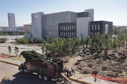 Inicia reforestaci&oacute;n urbana en CIS y Parque Ecol&oacute;gico; la meta son 10 mil &aacute;rboles